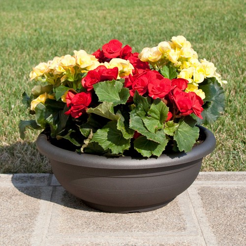 Blumenschale rund in - blumenschale, cm