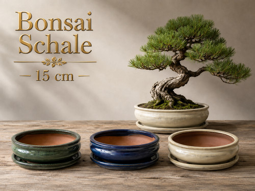 Bonsaischale oval bonsaitopf - oval,