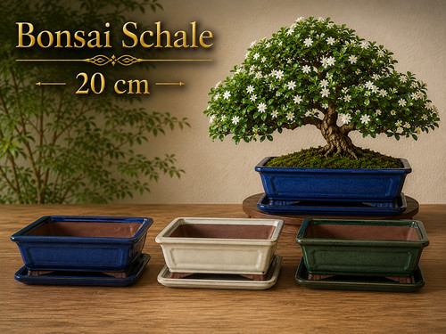Bonsaischale rechteckig cm - 20,