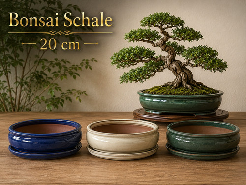 Bonsaischale oval bonsaitopf - oval,