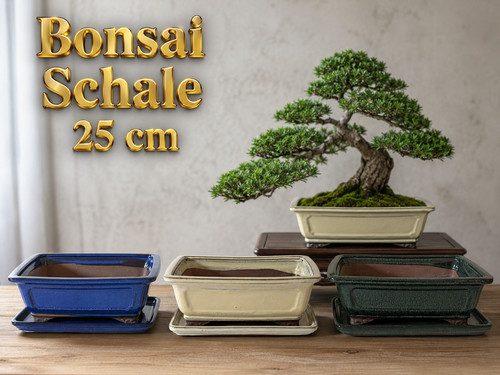 Bonsaischale rechteckig cm - rechteckig,