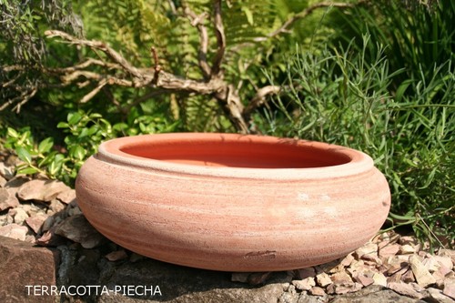 Terracotta bonsai schale - bonsai,