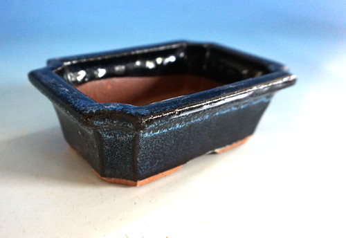 Vintage bonsaischale bonsai - vintage,