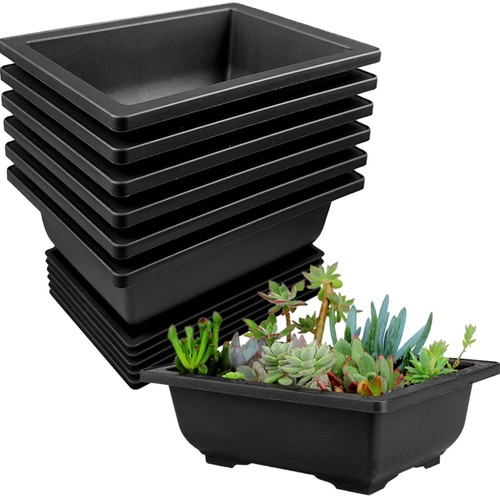 Bonsai schale set stück - set,
