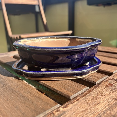 Bonsaischale blau dunkelblau - blau,