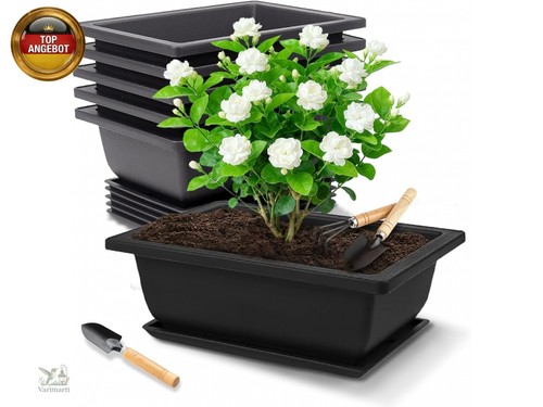 Stück bonsai schale - stück,