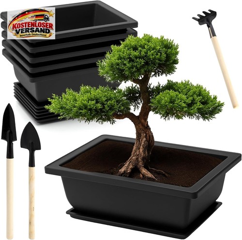 Apomoons stück bonsai - 6,
