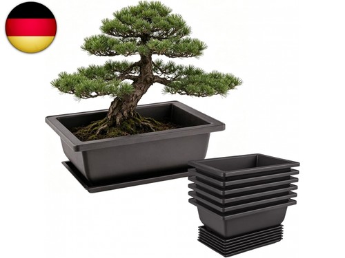 Stück bonsai schale - stück,