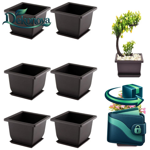 Bonsai trainingstöpfe - trainingstöpfe, 6