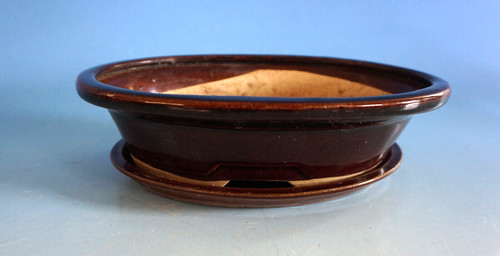 Vintage bonsaischale bonsai - bonsaischale,
