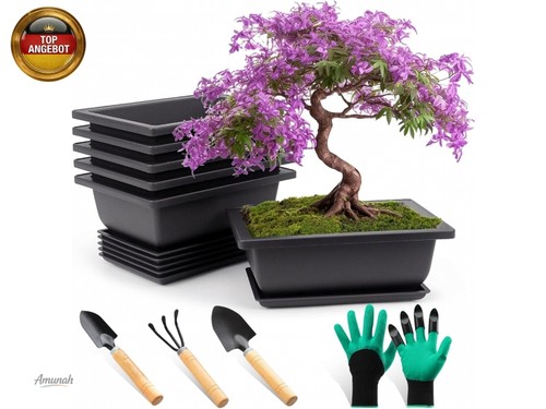 Stück bonsai schale mit - stück,