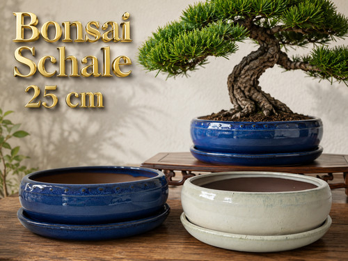 Runde bonsaischale cm - runde,