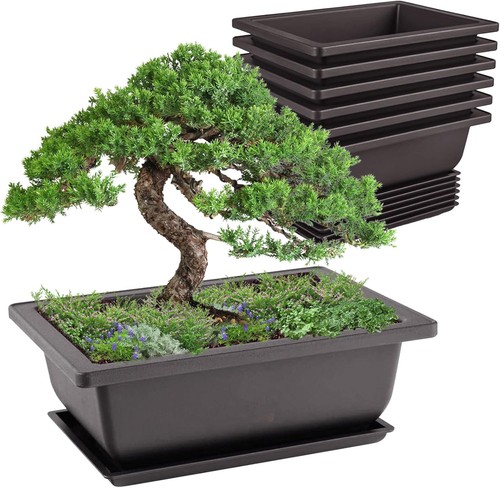 Idota stück bonsai schale - 6,