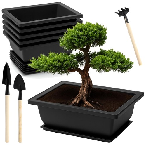 Bonsai schale set mit - bonsai,