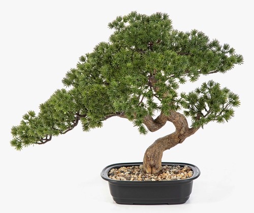 Artplants künstlicher bonsai - artplants,