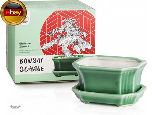 Happyseed bonsai schale - bonsai,
