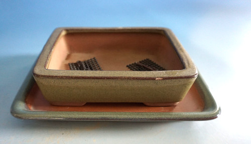 Vintage bonsaischale bonsai - bonsaischale,