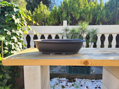 Bonsai schale oval aus - bonsai-schale,, harz