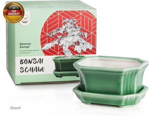 Bonsai schale keramik - schale,
