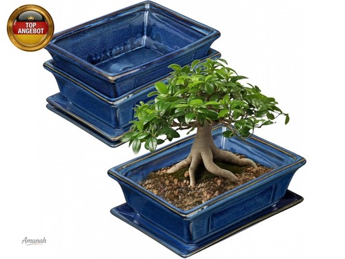 2er set bonsai keramiktopf - 2er-set,