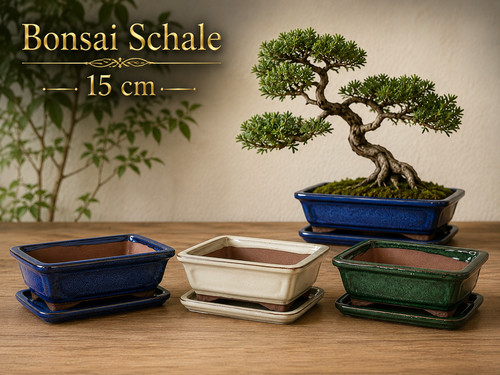 Bonsaischale rechteckig cm - rechteckig,