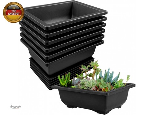 Stück bonsai schale - 6,