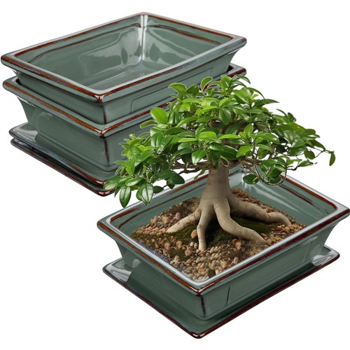 Bonsai keramiktopf 2er - keramiktopf, 2er-set