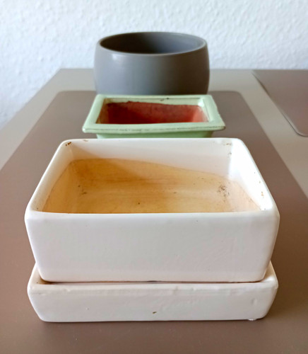 Bonsai schalen keramik mit - schalen,