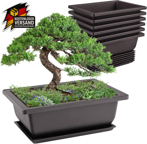Bonsai schalen set stück - bonsai, 6