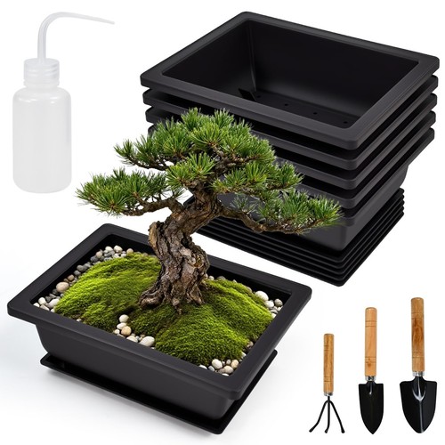Bonsai schale kunststoff - bonsai,
