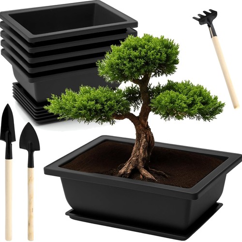 Bonsai schale gartenwerkzeug - bonsai,