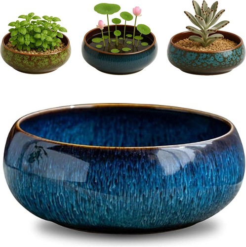 Lotus bowl pflanztopf blau - bowl,