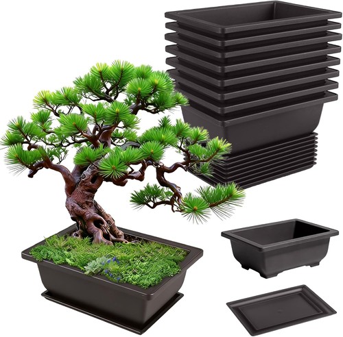 Stück bonsai schale kit - bonsai,