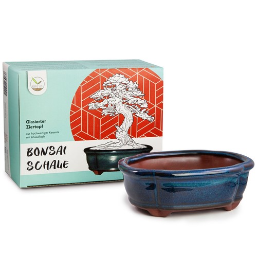 Bonsai schale aus keramik - schale,