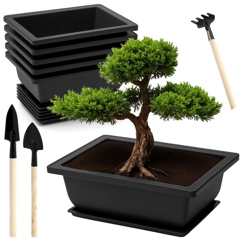 Bonsai schale mit - schale,