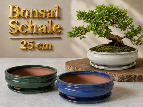 Bonsaitopf bonsaischale oval - bonsaischale,