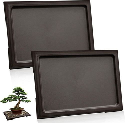 2er set bonsai blumentopf mit - bonsai,