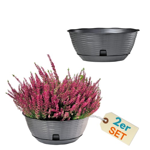 2er set pflanzschale - set,